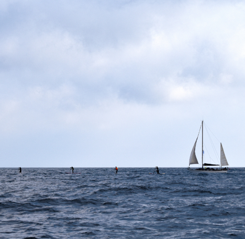 Rameurs de stand up paddle en mer